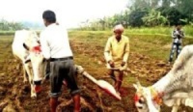 समृद्धिका लागि ‘किसान चौतारी जोतौँ खेतबारी’ अभियान